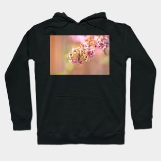 Common Buckeye Butterfly Hoodie